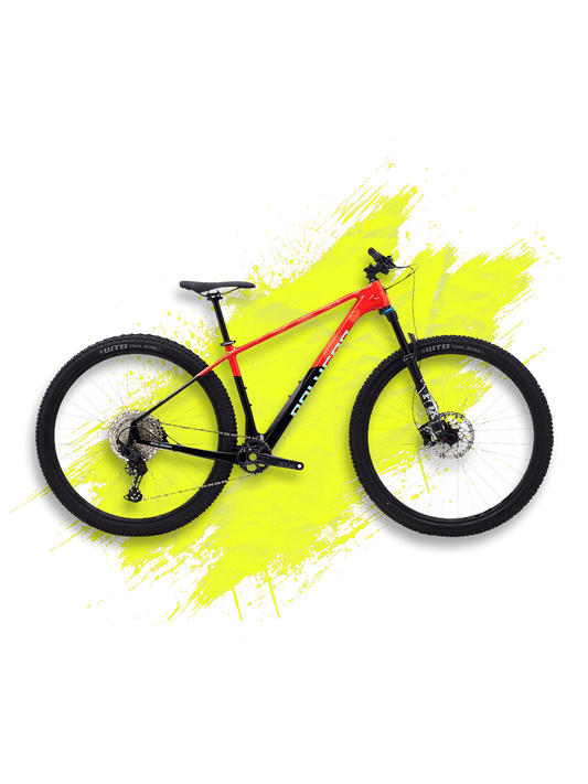 Polygon Syncline C5 29 Mountain Bike