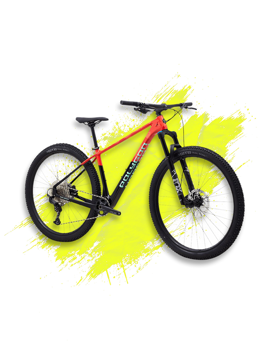 Polygon Syncline C5 29 Mountain Bike